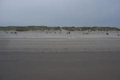 ameland_108_20131226_1014100466