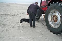 ameland_137_20131226_2066852910