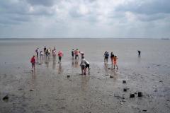 ameland_315_20131226_1855314347