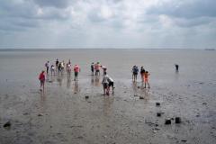 ameland_315_20131226_1855314347