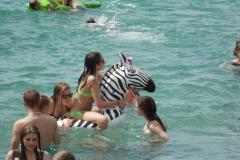 korsika_366_20151023_1551953154