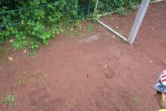 luetjensee_357_20151023_1683821880