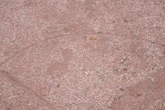 luetjensee_362_20151023_1040930981