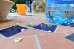 DSCN0257