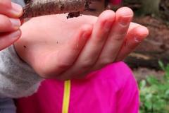 20210710_112247-Copy