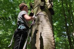 IMG_20210707_120720-Copy