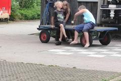 IMG_20210710_200906-Copy